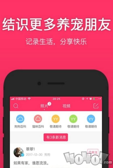 养养宠物