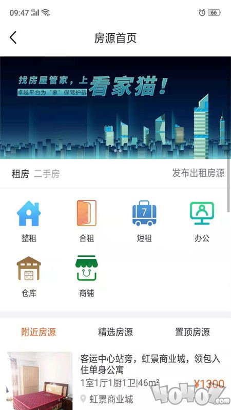 看家猫