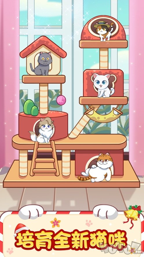 猫咪旅行家
