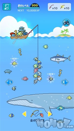 小型水族馆