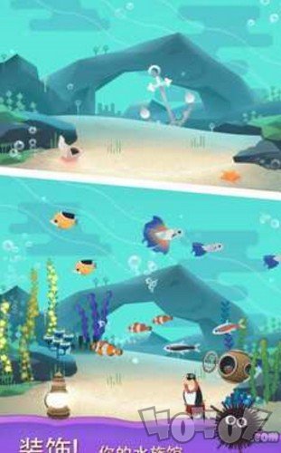 水族馆之谜