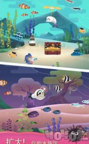 水族馆之谜
