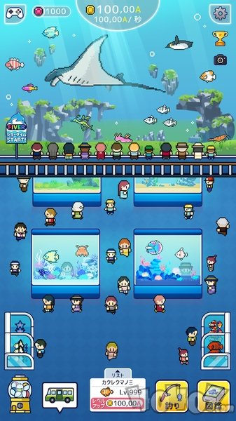 迷你水族馆