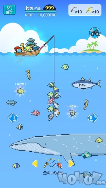 迷你水族馆