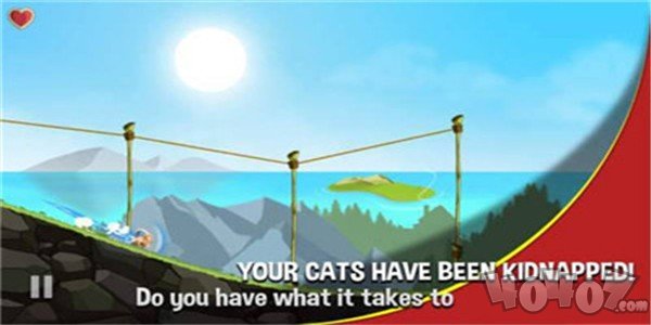 冲鸭我的猫