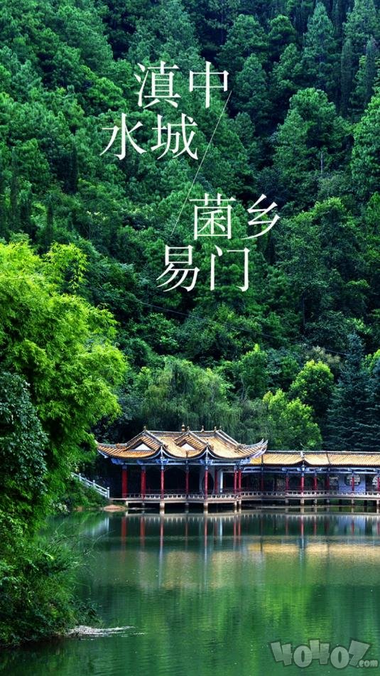 菌乡易门