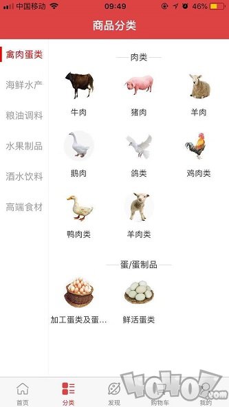 膳满分
