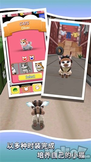 小猫跑酷