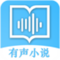 有声免费小说大全