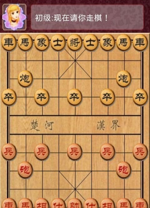 棋类大师截图