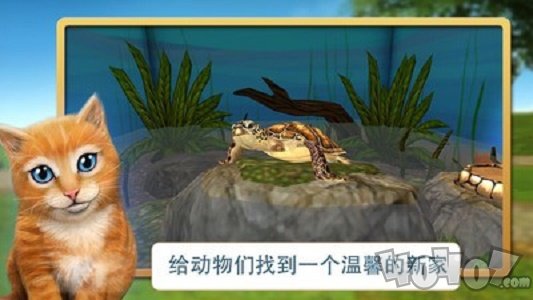 宠物世界我的动物救援
