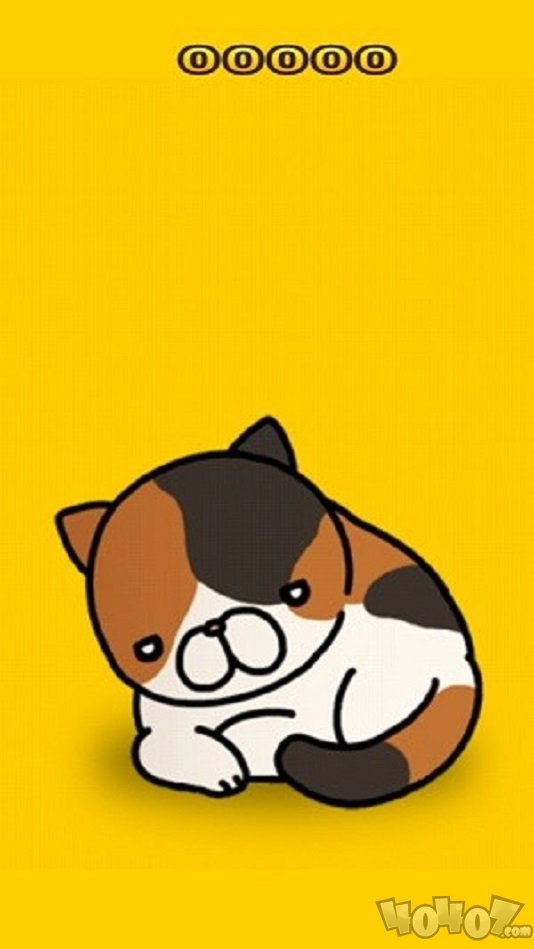 受惊的猫