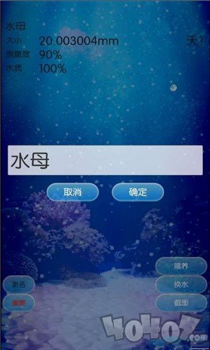 治愈的养成水母