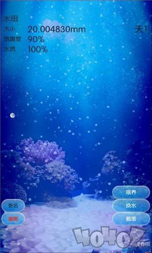 治愈的养成水母