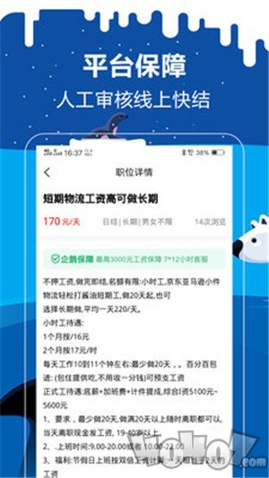 企鹅兼职