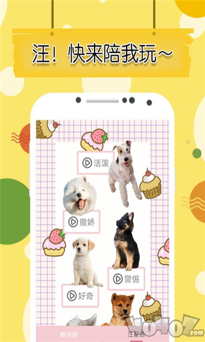 米族猫狗语翻译器