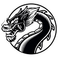 黑龙小说
