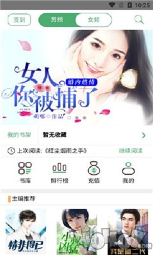 泰尔小说