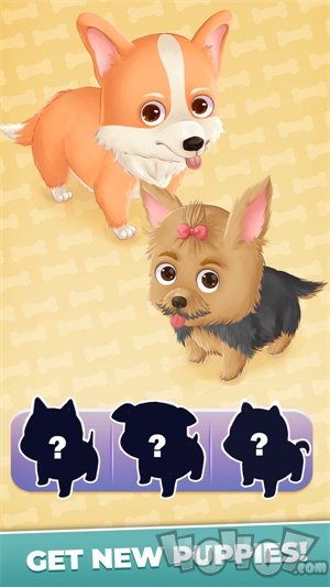 狗狗故事