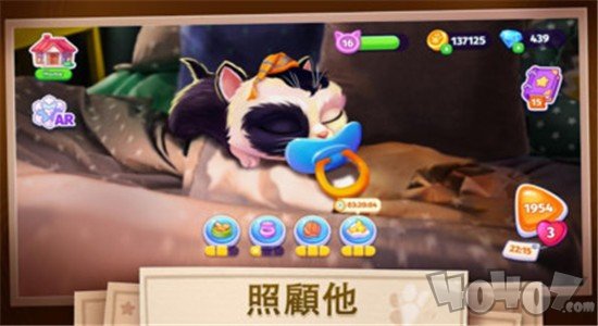 我的可爱猫咪
