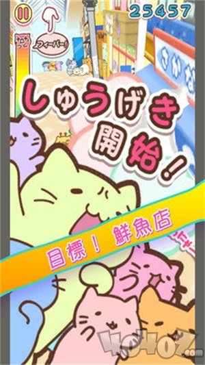 团团猫冲刺