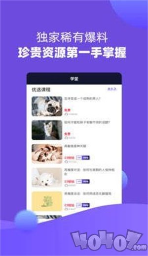 恋爱伴侣