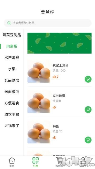 菜兰籽