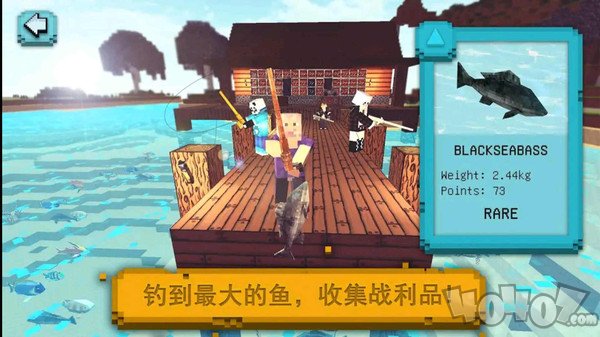 鱼网大作战