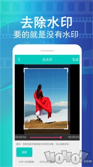 视频去水印
