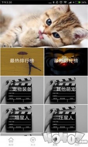 大爱萌宠