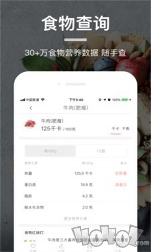 食物百科