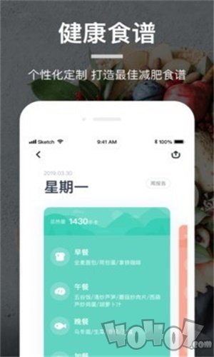 食物百科
