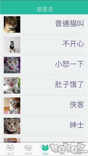 人猫狗翻译器