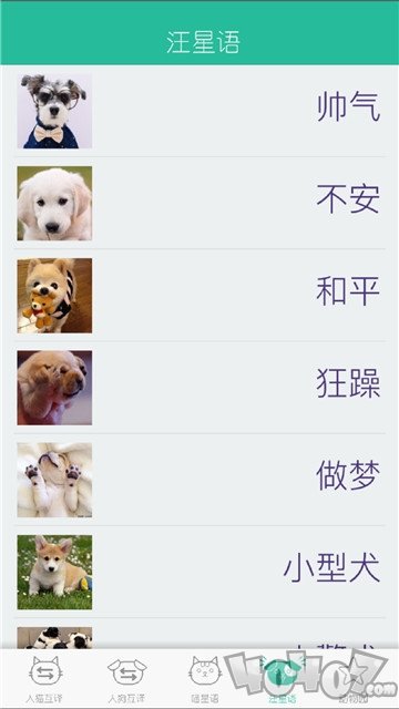 人猫狗翻译器