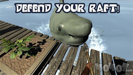 Raft Survival