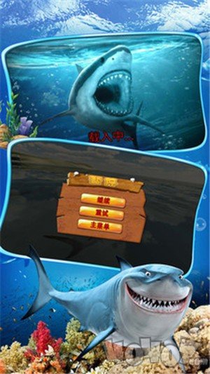 鲨鱼来了