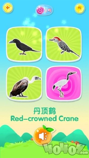 魔法动物园