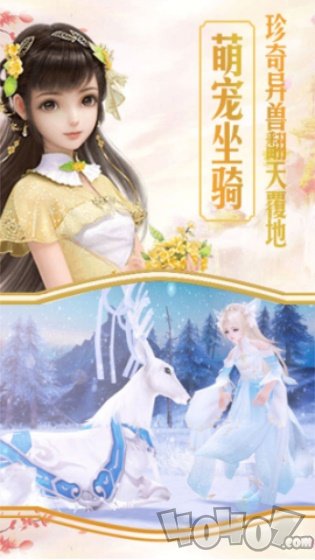 寻情仙使