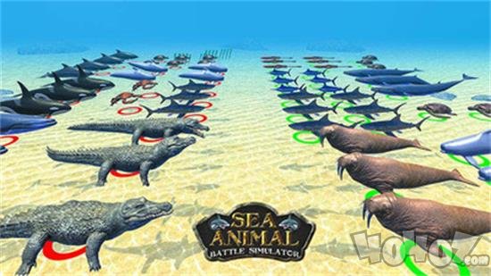 海洋山攀登