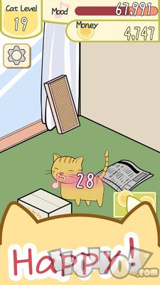 米罗猫咪