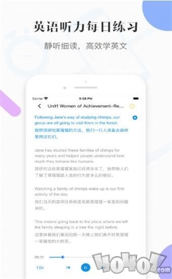 小鹦鹉