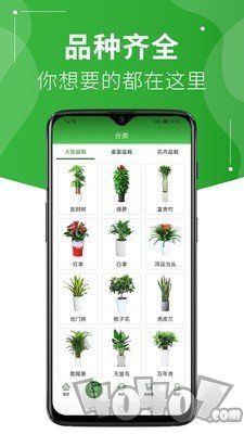 绿植到家