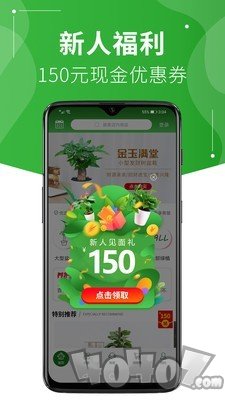 绿植到家