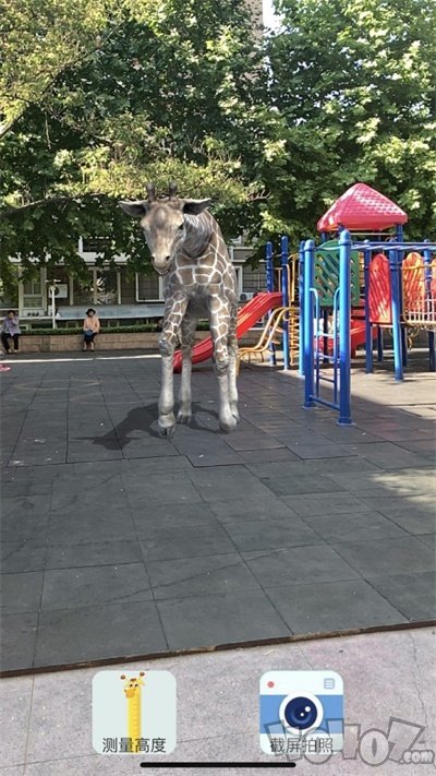 拍拍鹿