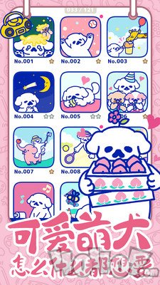 萌犬糖果的心愿