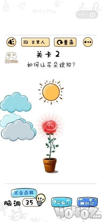 烧脑大神