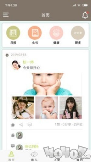 小熊摇篮