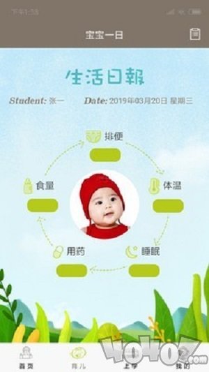 小熊摇篮