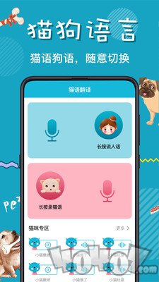 猫语交流器