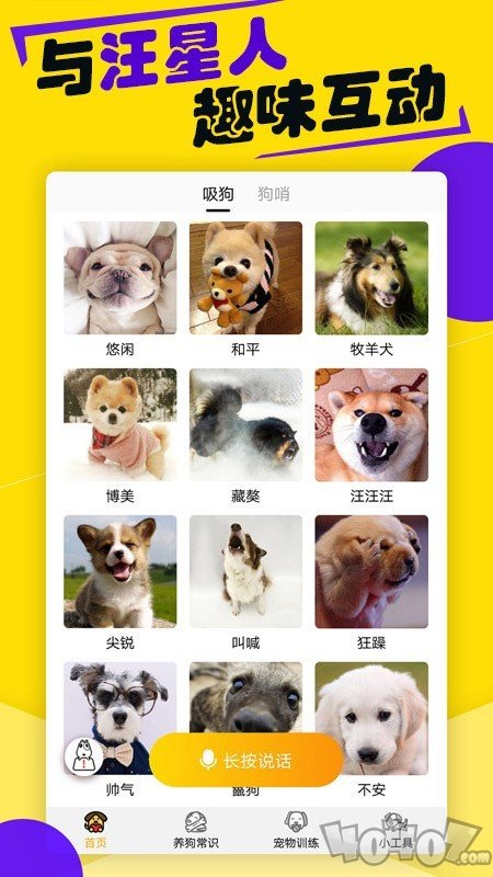 狗语翻译器